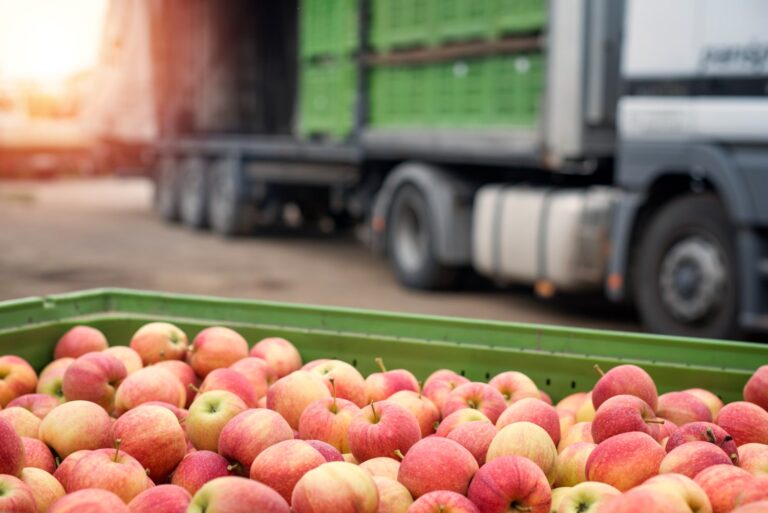 Transport owoców – jak zadbać o świeżość i bezpieczeństwo dostaw?